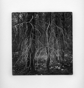 Sticks and Stones 19 